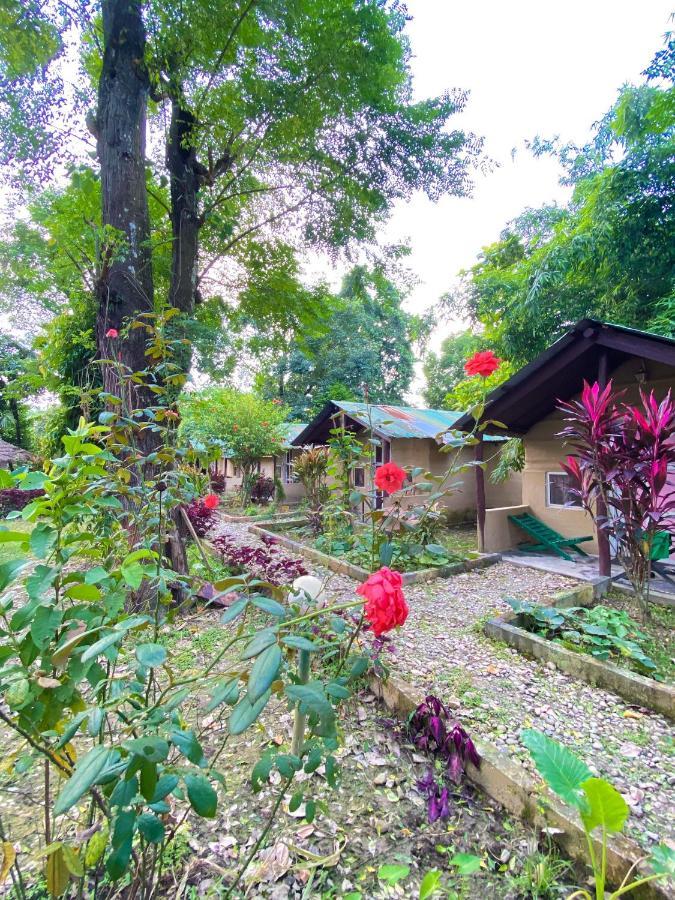 Nature Safari Camp Chitwan Buitenkant foto